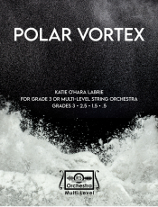 Polar Vortex