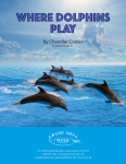 Where Dolphins Play